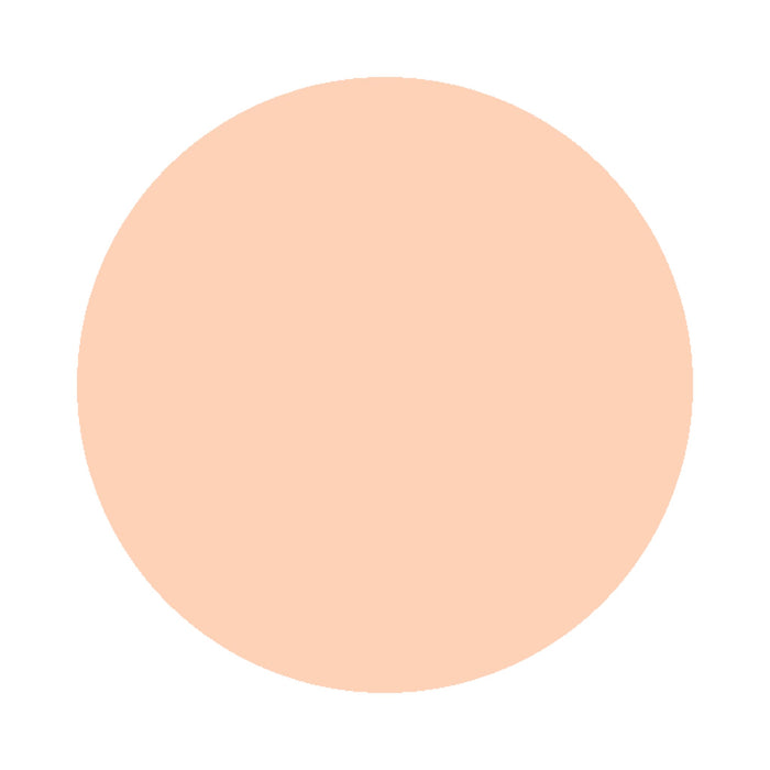 Cache-Cerne Liquide Anti-âge Renoir