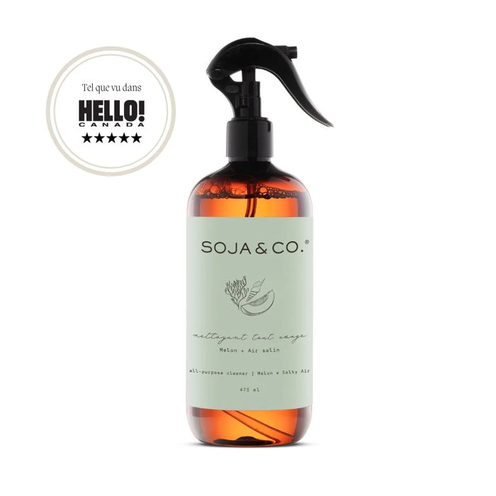NETTOYANT TOUT USAGE | MELON + AIR SALIN