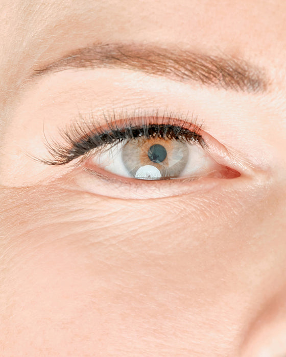 Ensemble cils à bande