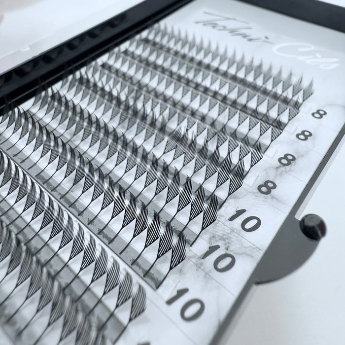 Boîtier de Cils Plumes