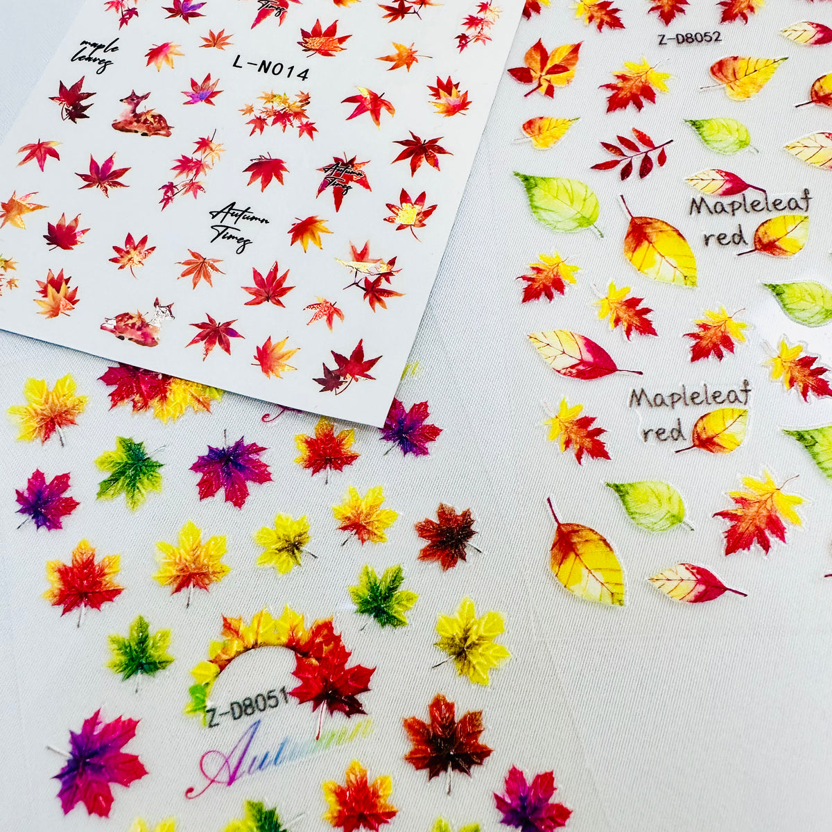 Ensemble D'autocollants D'élément D'automne Feuille D'érable Champignon