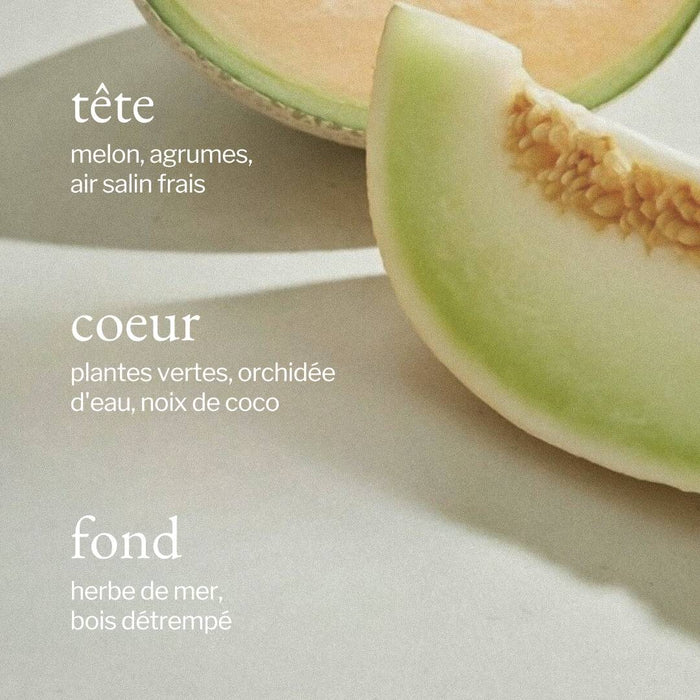 NETTOYANT TOUT USAGE | MELON + AIR SALIN