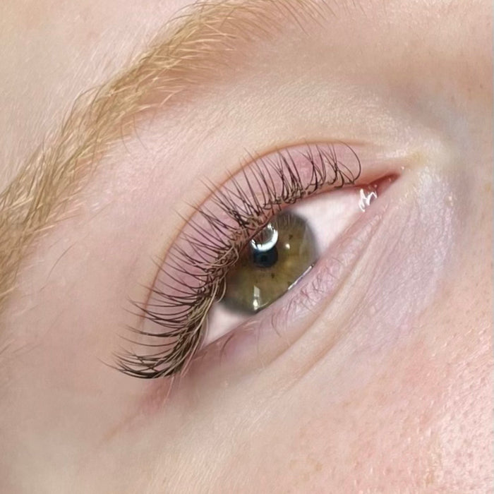 Boîtier De Cils YY Brun