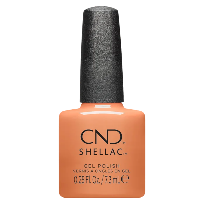 Vernis Shellac Daydreaming