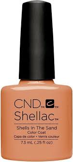 Vernis Shellac Shells In The Sand
